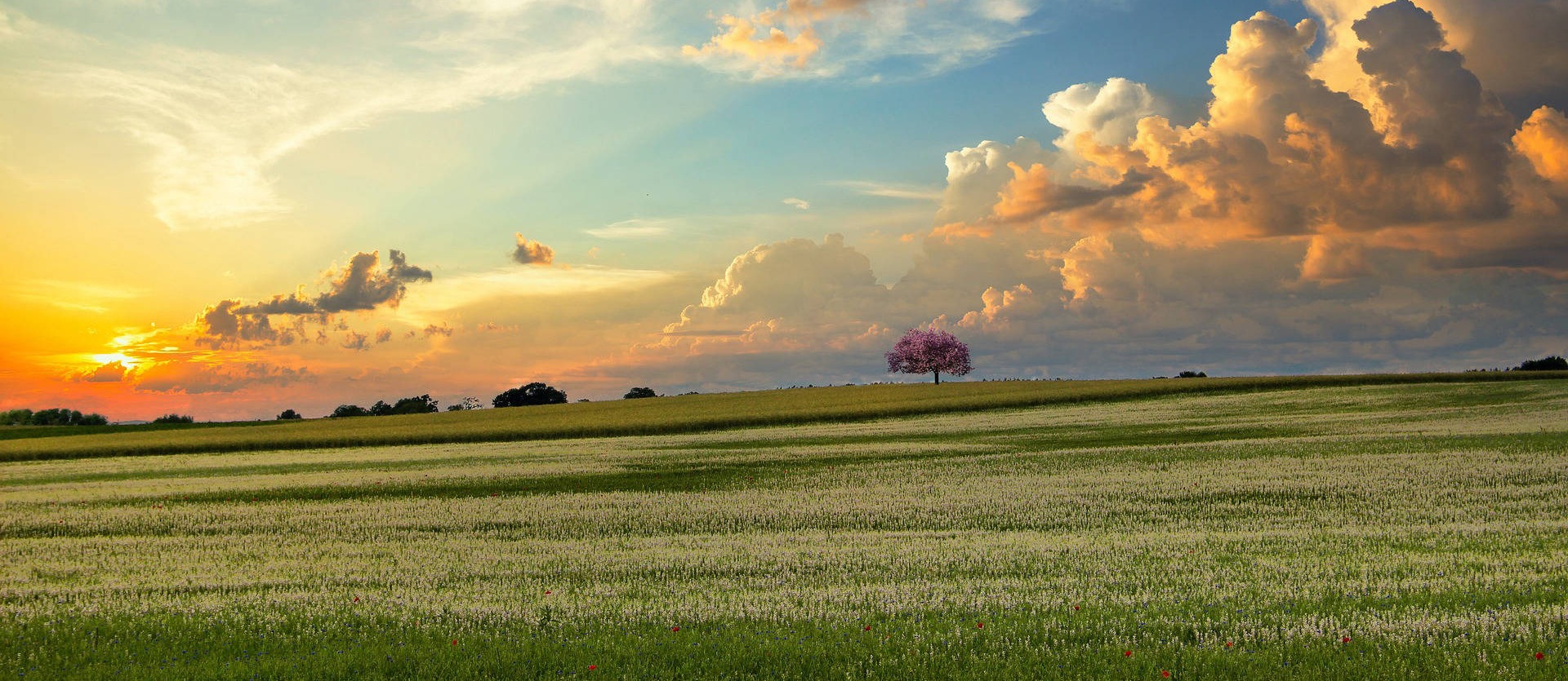 Gods glory will fill the earth