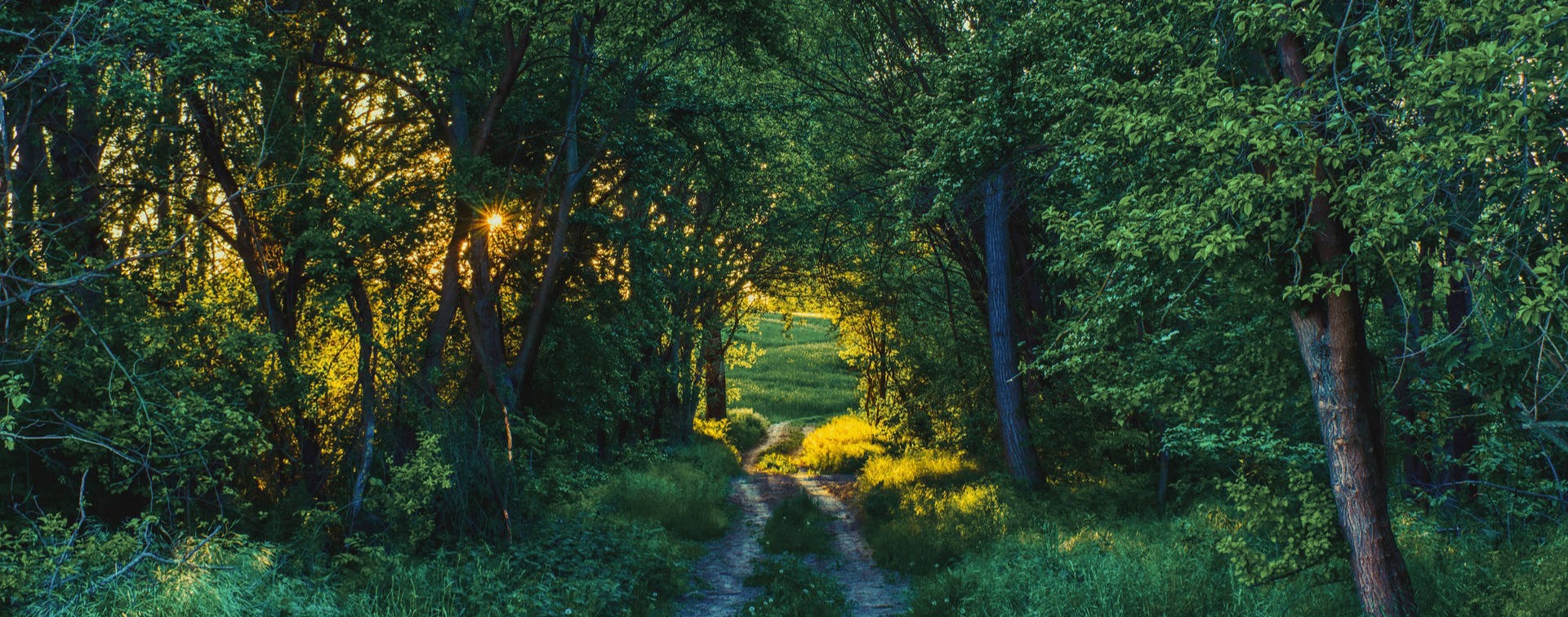 Lord Jesus Christ is the way